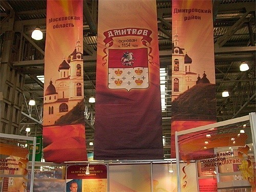 выставка подмосковье 2006